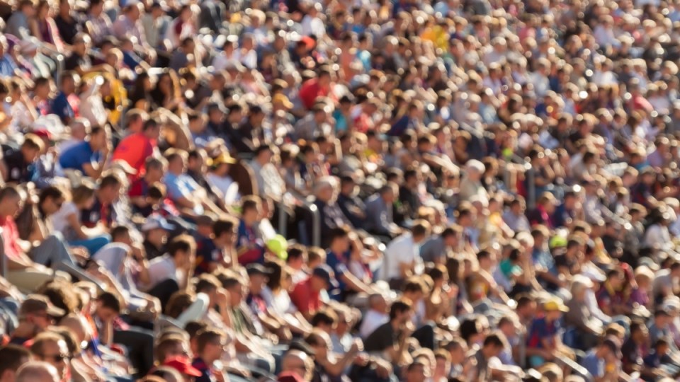 Il mercato globale del cricket: Connettersi con i fan e guidare il ROI